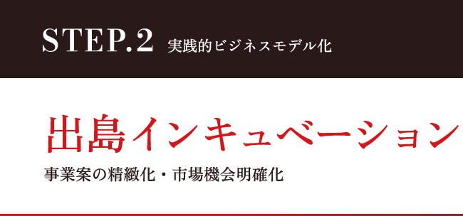 STEP.2 実践的ビジネスモデル化 出島インキュベーション