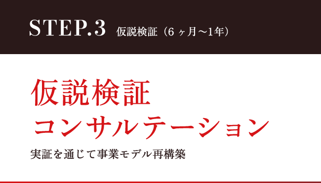 STEP.3 仮説検証（6ヶ月〜1年）仮説検証コンサルテーション